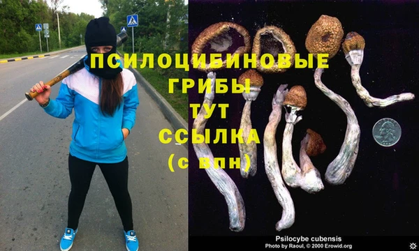 хмурый Апатиты