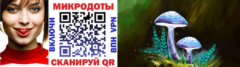 Псилоцибиновые грибы Cubensis  где можно купить наркотик  Венёв 