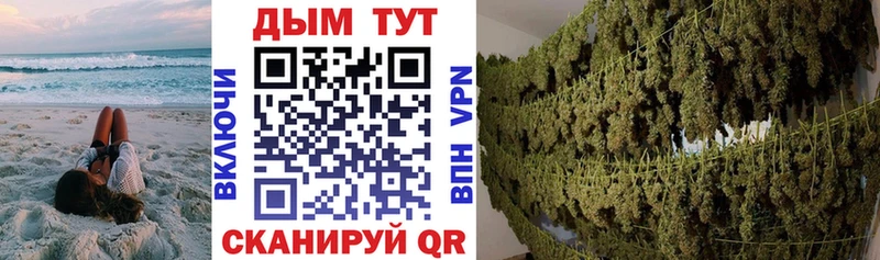 Конопля гибрид  дарнет шоп  Венёв 